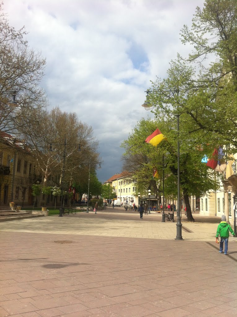 Sátoraljaújhely, Hungary by Miriam Tarr