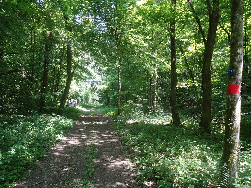 Chemin à la combe Prés Millot vers Clerval by Claudius B.