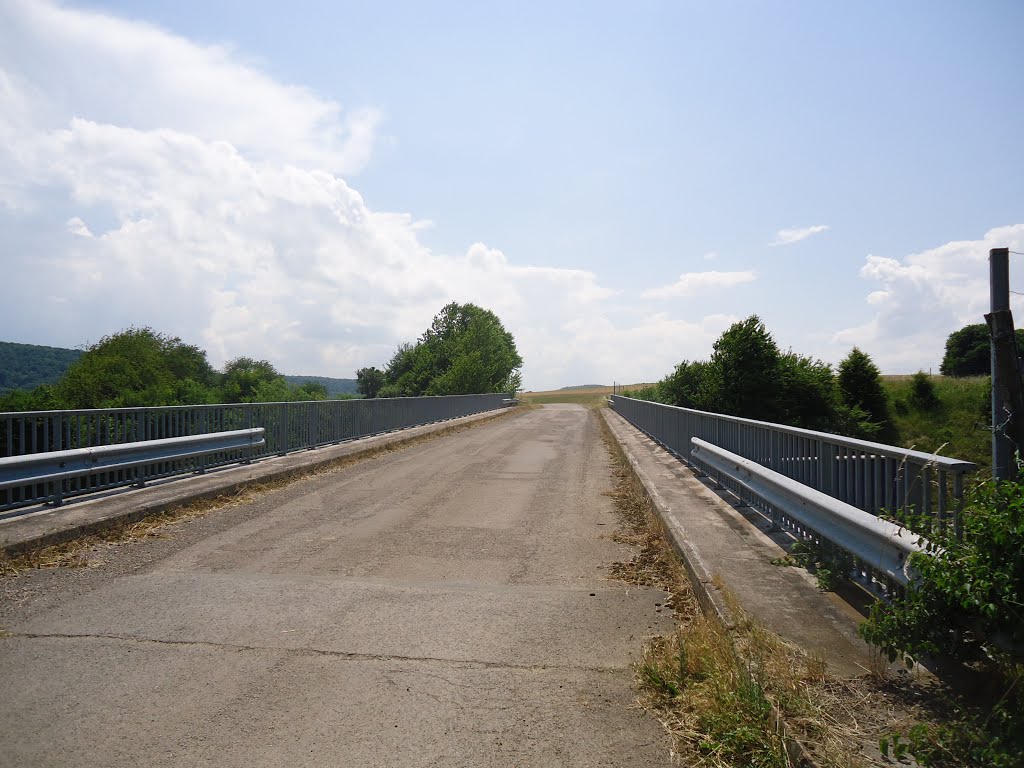 Pont sur l'A36 "la Comtoise" vers l'Hôpital-St-Lieffroy by Claudius B.