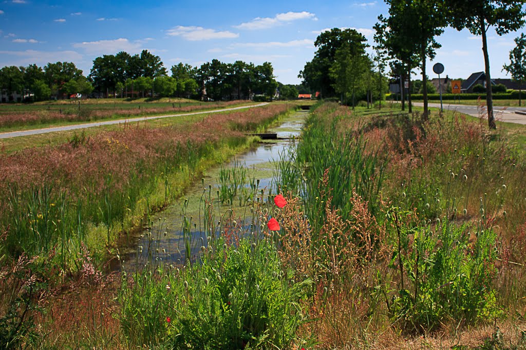 Sloot langs Robbenhaarsweg by jeroen slagter