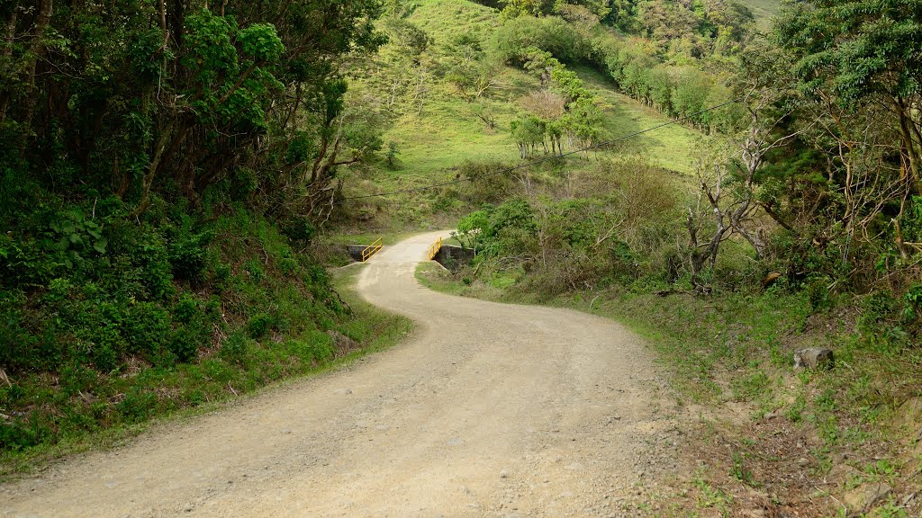 Puntarenas Province, Costa Rica by latforum