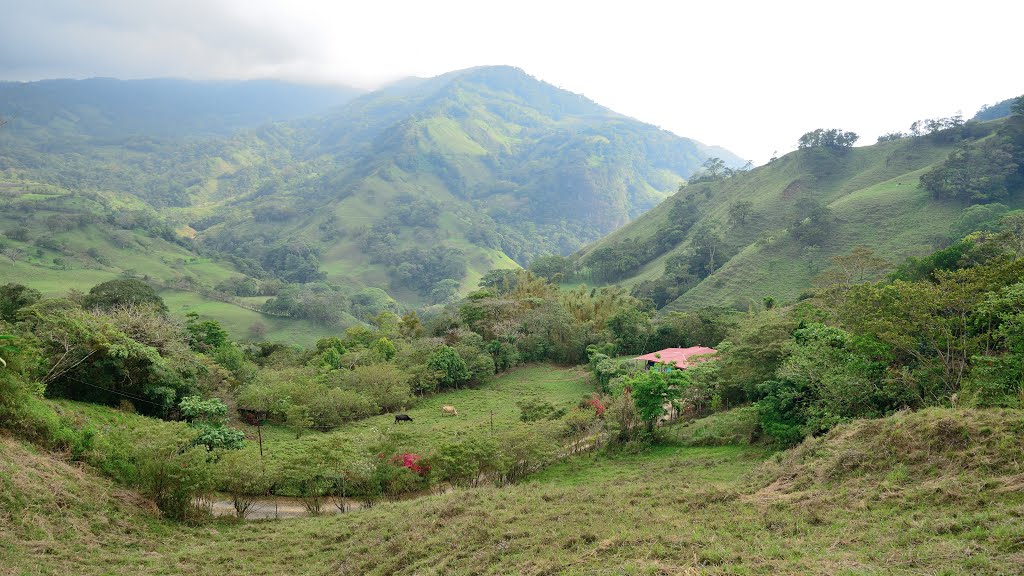 Puntarenas Province, Costa Rica by latforum