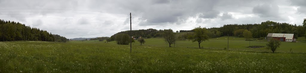 Höstenabjär, Ljungby, Falkenberg, Sverige by Jorfro