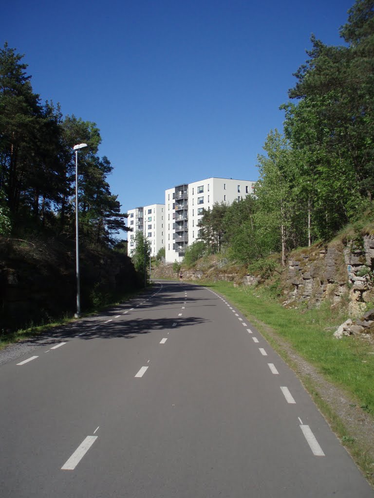 Bike lane Haabersti - Nõmme by USSR4Ever