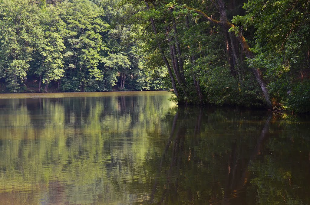 Naturschutzgebiet Hallegger Teiche by Jan Sosnowski