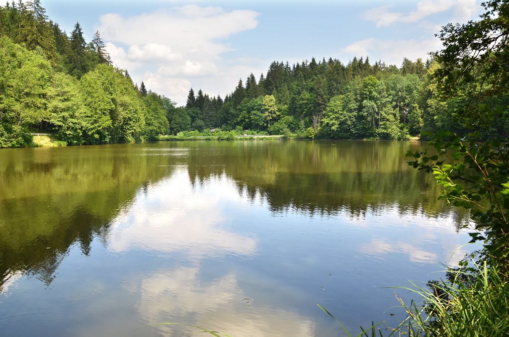 Naturschutzgebiet Hallegger Teiche by Jan Sosnowski