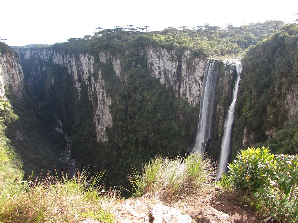 Cachoeira vista do Vértice 2 (by Salvio) by Salvio S. Pereira do…