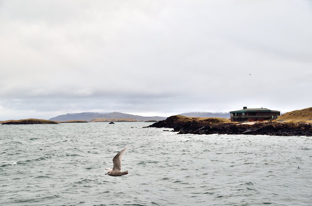 At the harbour by duckbilly