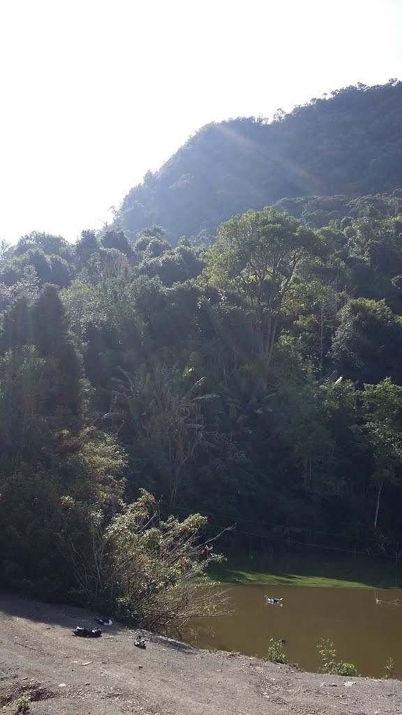 Santa Terezinha - SC, Brazil by Silvio Wanderlei Mai…