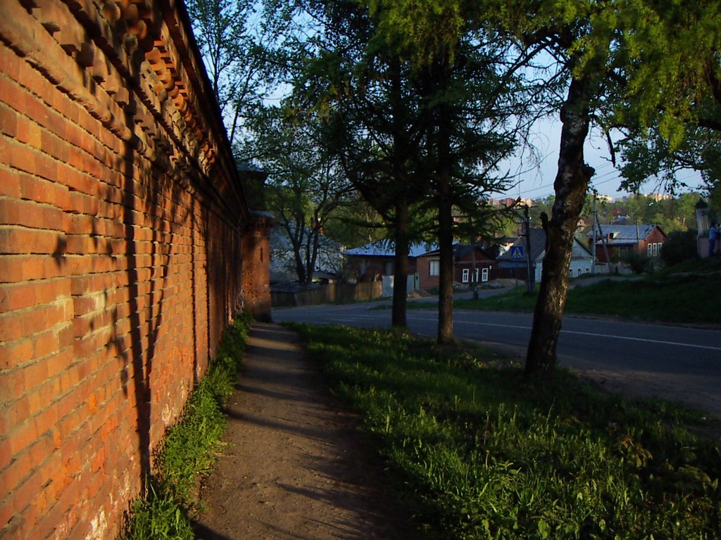 Brick wall by Arseny Khakhalin