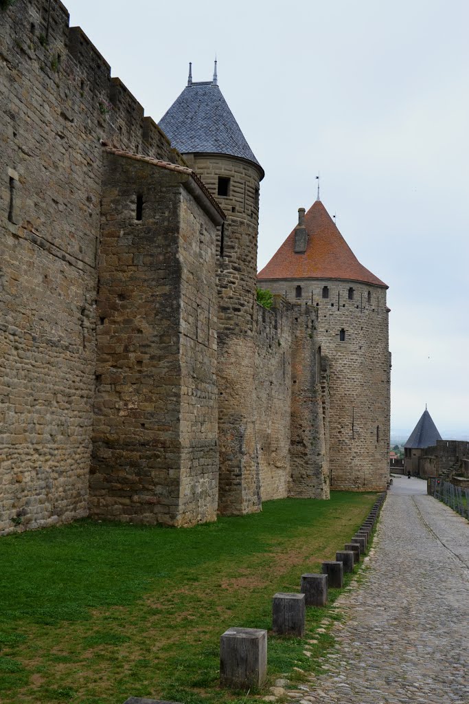 La Cité Médiévale, 11000 Carcassonne, France by ENRICO ZUK