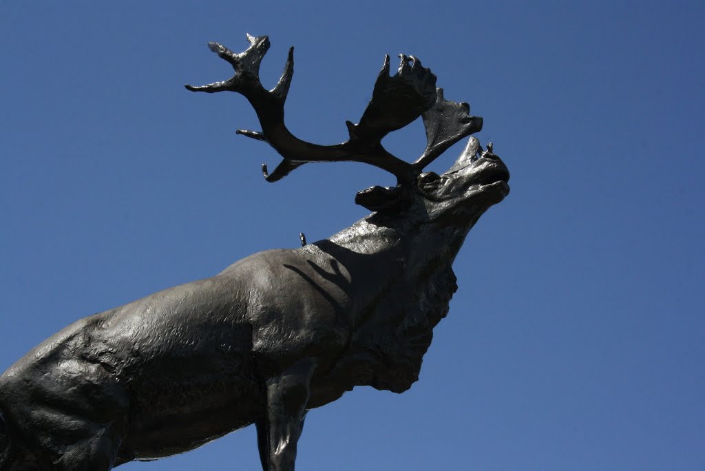 *Beaumont-Hamel: Newfoundland Memorial Park, Caribou Memorial (détail) by Hans Briaire