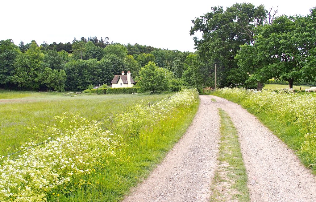 Polesden Lacey by Nick Todaro