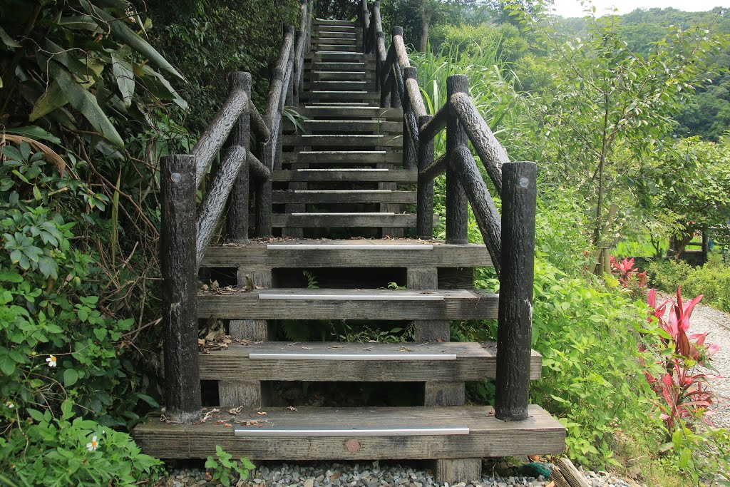 264, Taiwan, 宜蘭縣員山鄉枕山村 by Frank Lee