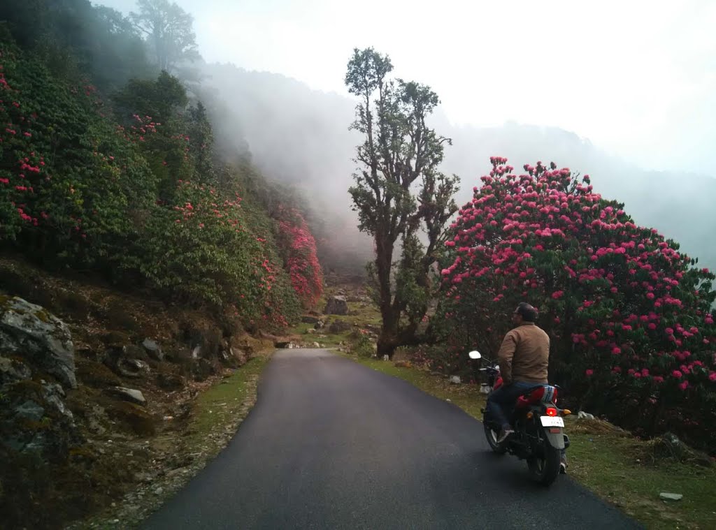 Chopta on my bike by Aaochale.com