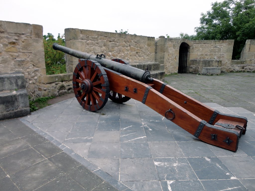 Cañón en el Castillo de la Mota by Luis F. Delgado