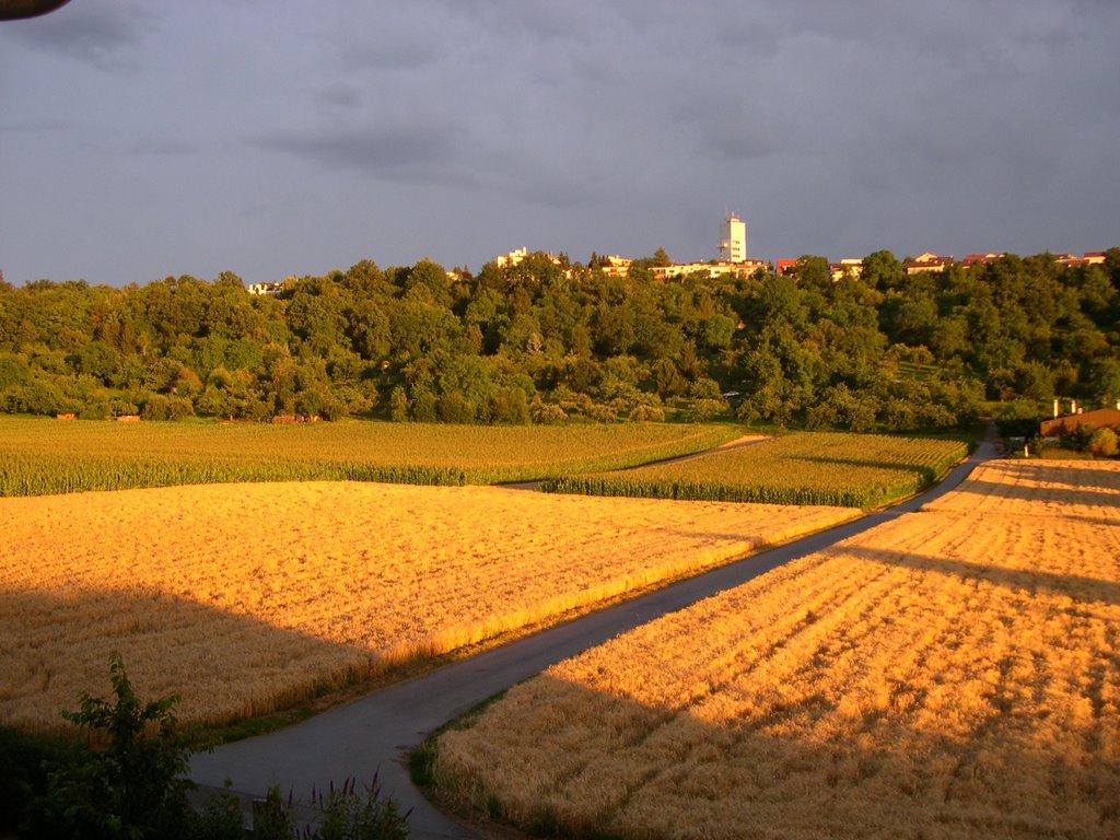 Abendlicht überm Schimmelfeld by Antoninus Pius