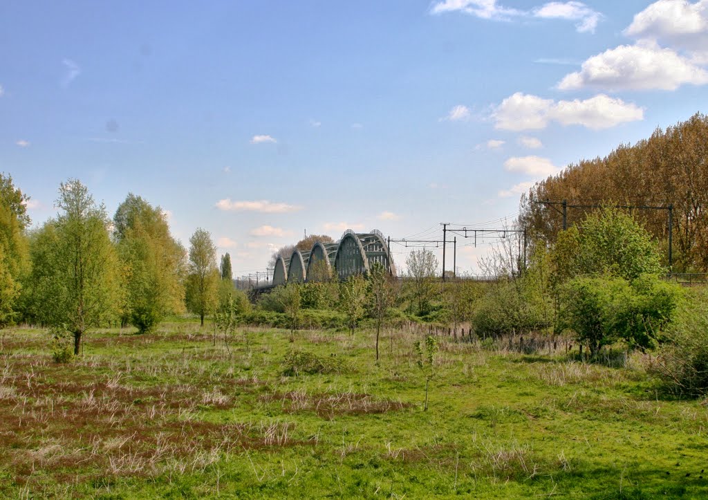 Railway Viaduct over the Maas near Ravenstein, the Netherlands by Roger Grund