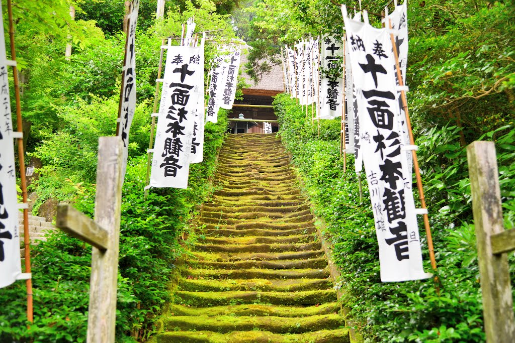 杉本寺 by tmtmamn