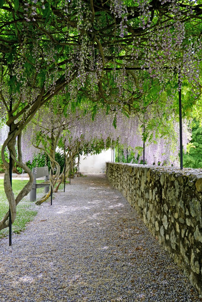 31510 Saint-Bertrand-de-Comminges, France by ENRICO ZUK