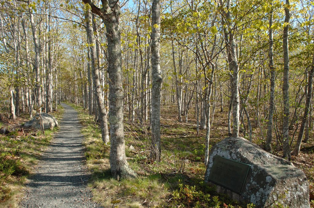 Atwater Kent Field Marker on Schooner Head Path by Mike Engling