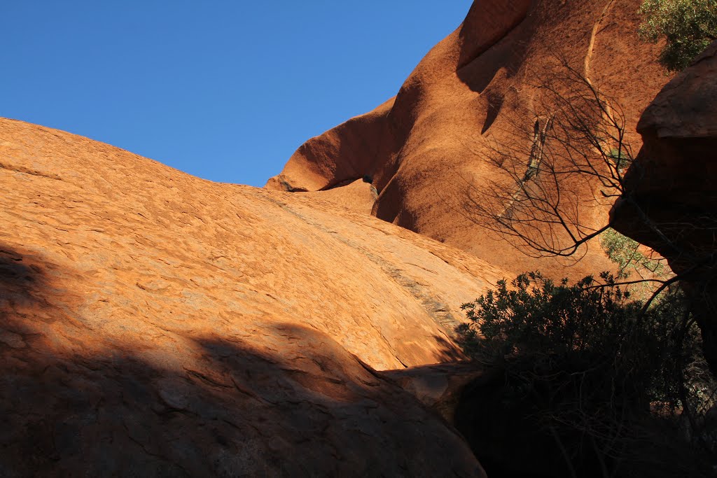 Uluru-2015o.jpg by James Popple