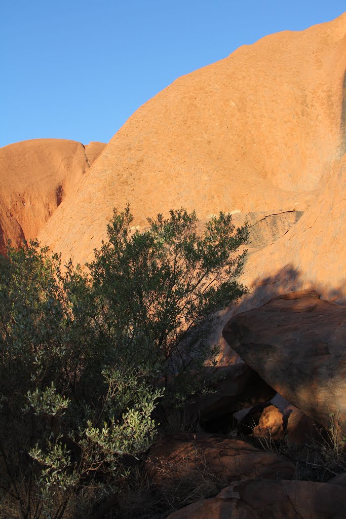 Uluru-2015y.jpg by James Popple