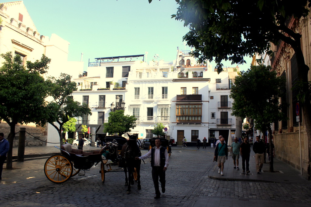 SEVILLA (ANDALUCÍA) CALLE PLACENTINES, JUNTO A LA GIRALDA, EN EL BARRIO DE SANTA CRUZ by JOSE LUIS OROÑEZ