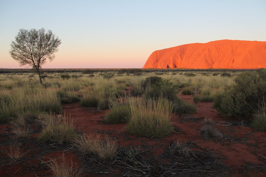 Uluru-2015zh.jpg by James Popple