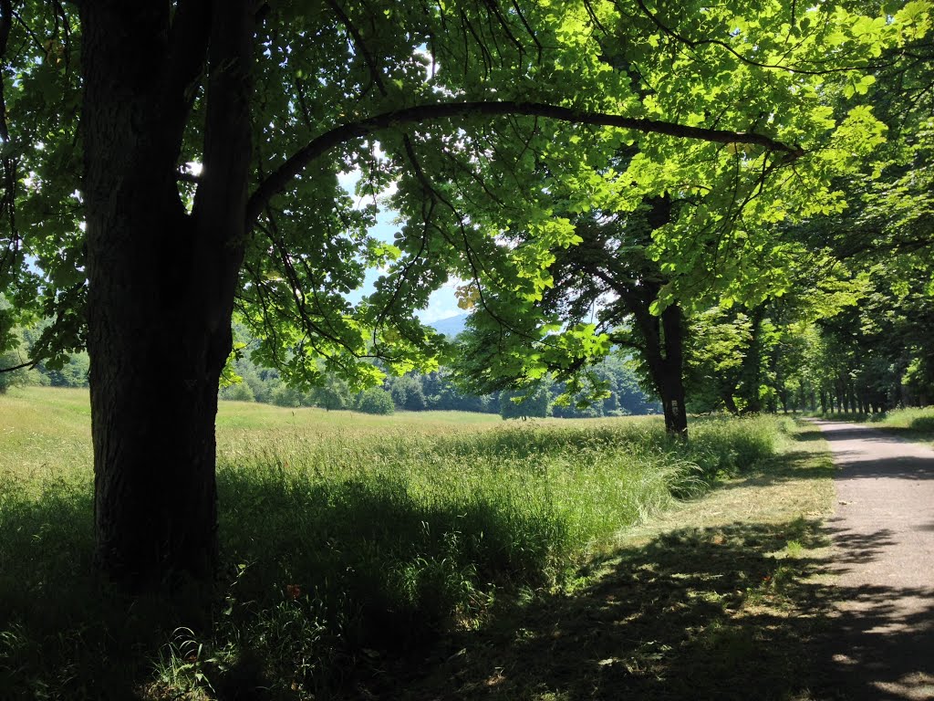 Parád, Hungary by László Turi