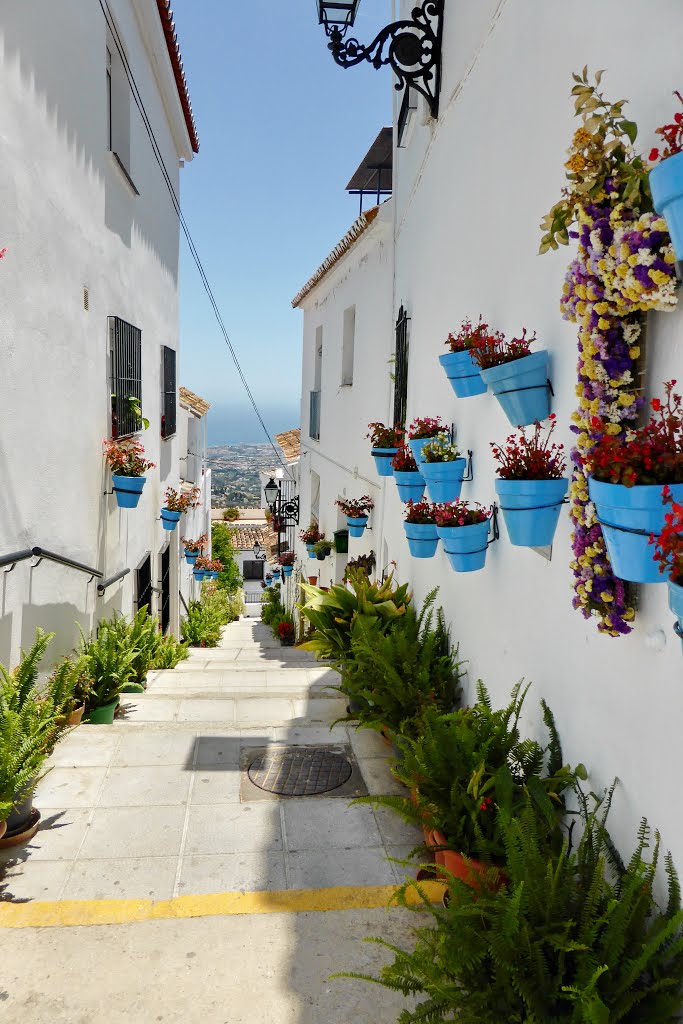 29650 Mijas, Málaga, Spain by Roy Barlow