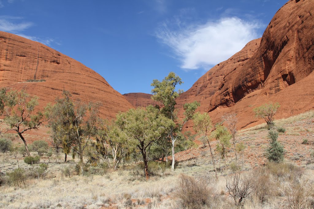 Kata-tjuta-2015zh.jpg by James Popple