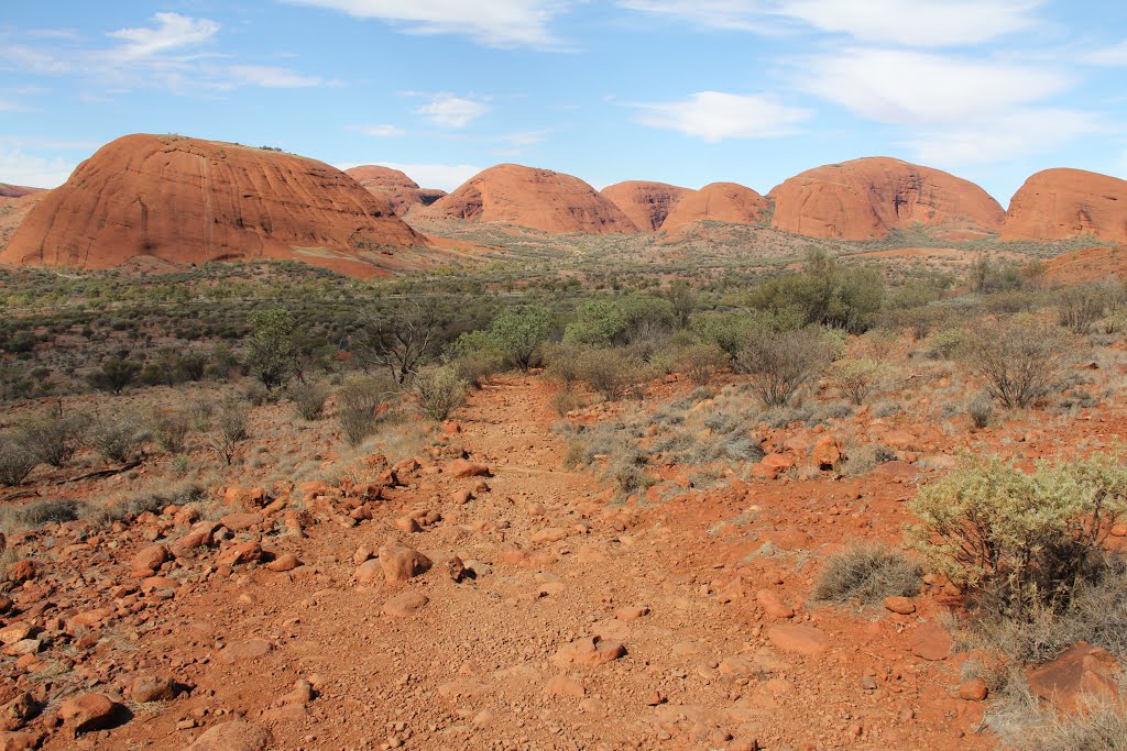 Kata-tjuta-2015zzc.jpg by James Popple