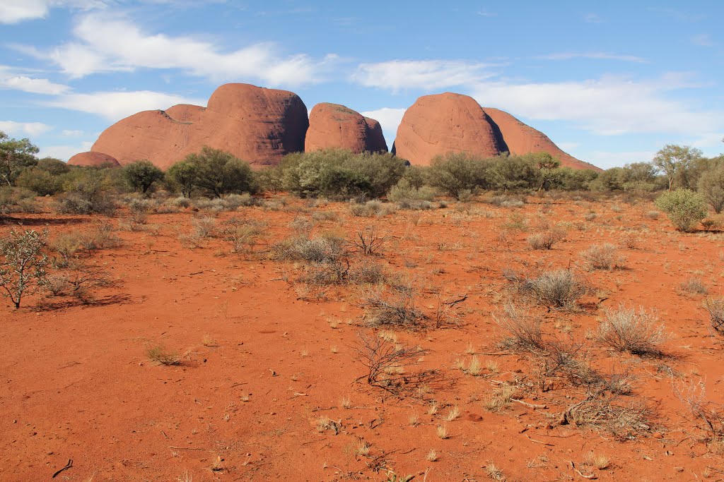 Kata-tjuta-2015zzf.jpg by James Popple