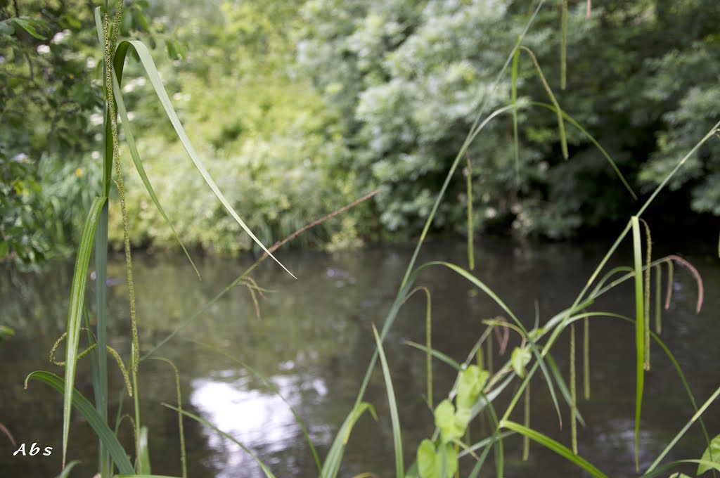 Morden Hall Park (Nation Trust) by Abdul Shakoor