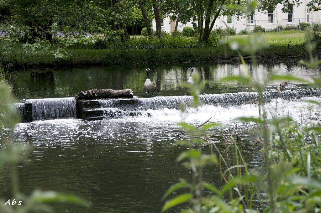 Morden Hall Park (Nation Trust) by Abdul Shakoor