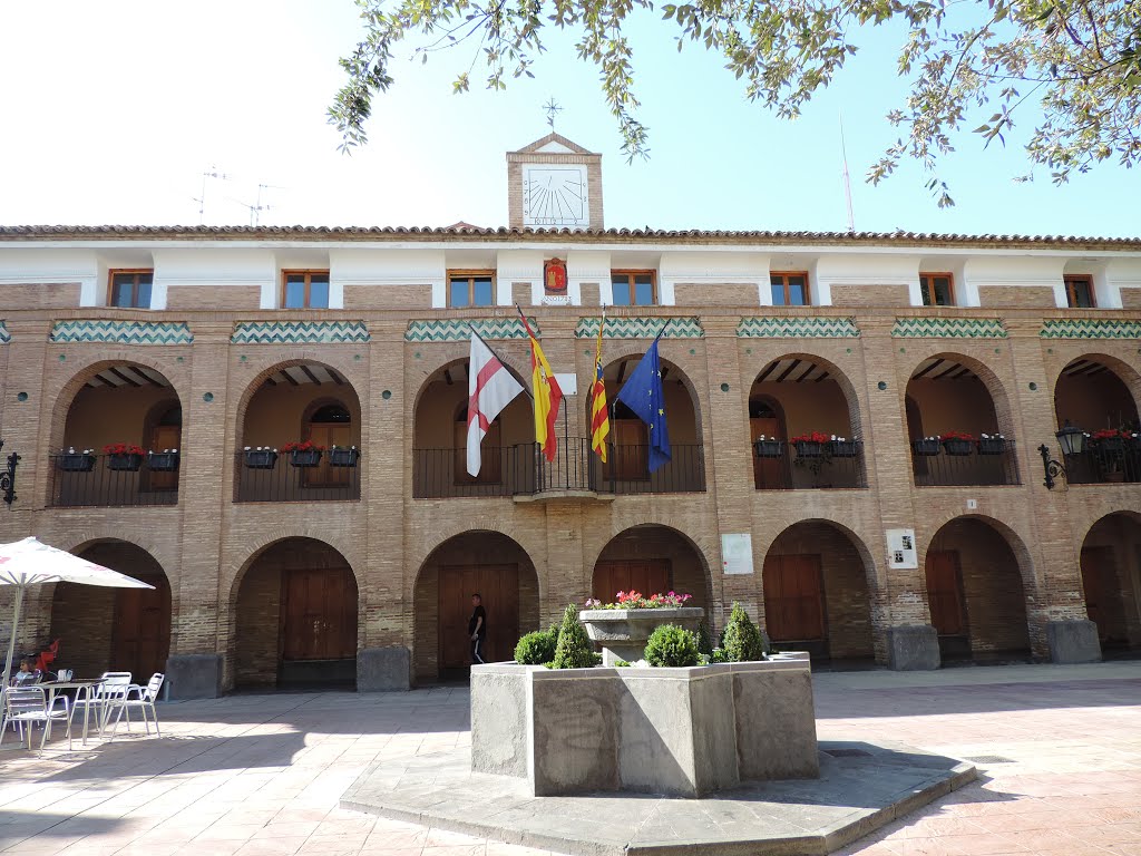 Ayto de la Almunia de Doña Godina, Zaragoza. España. (AmandoFej.) by amando fej