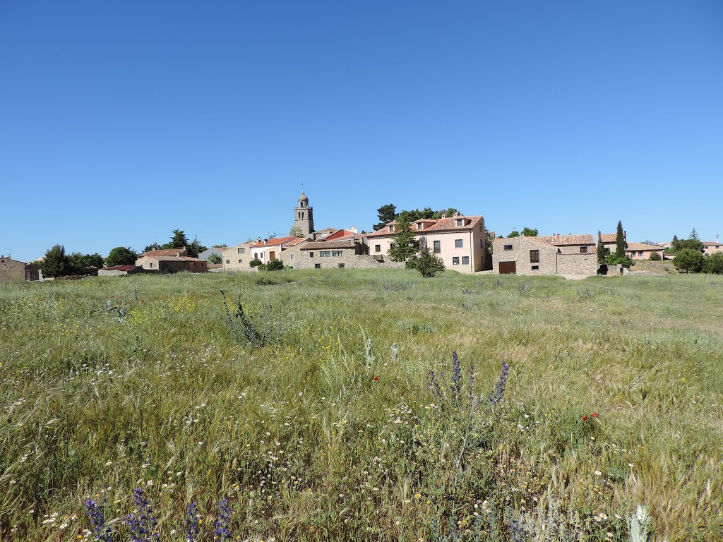 Medinaceli , Sória. España. (AmandoFej.) by amando fej