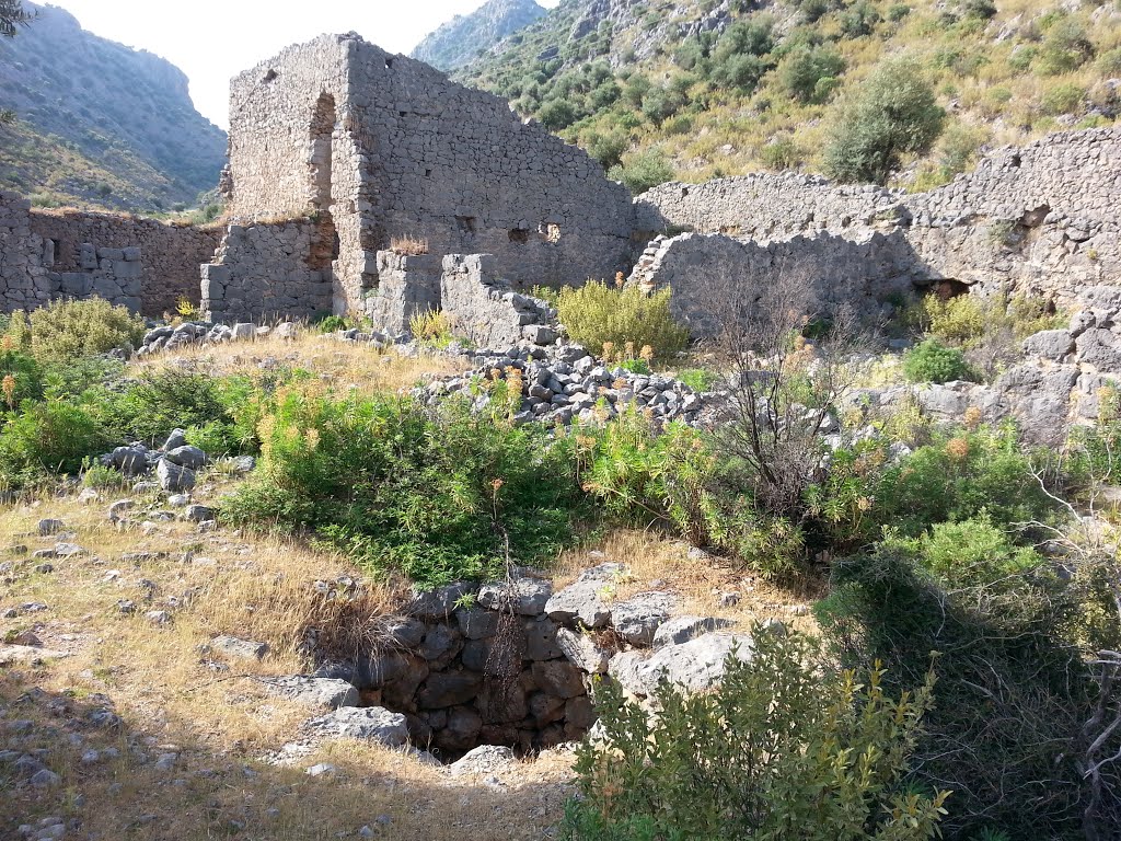 07190 Kovanlık/Döşemealtı/Antalya, Turkey by M Kemal TANIŞ