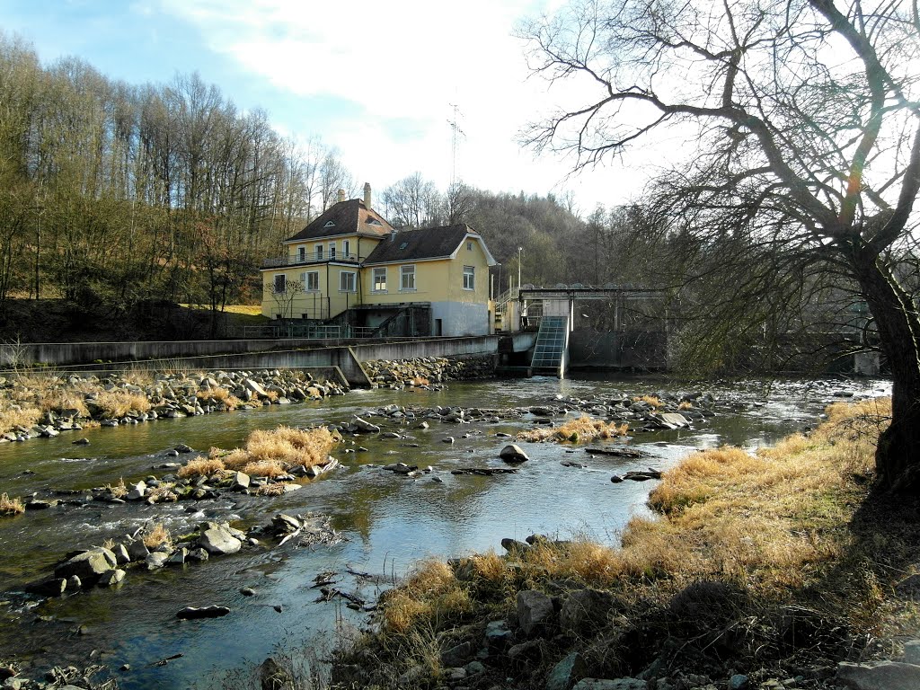 Rundweg im Naturschutzgebiet Vils-Engtal bei Vilshofen by SR Radler