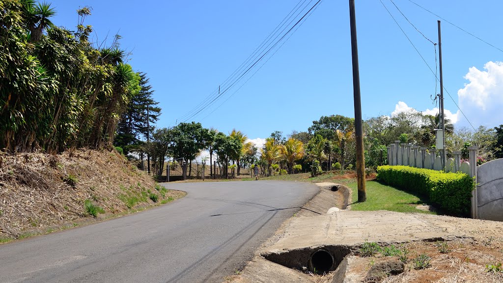 Alajuela Province, San Ramón, Costa Rica by latforum