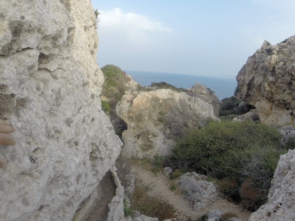 Mellieha, Malta by Alan C. Bonnici