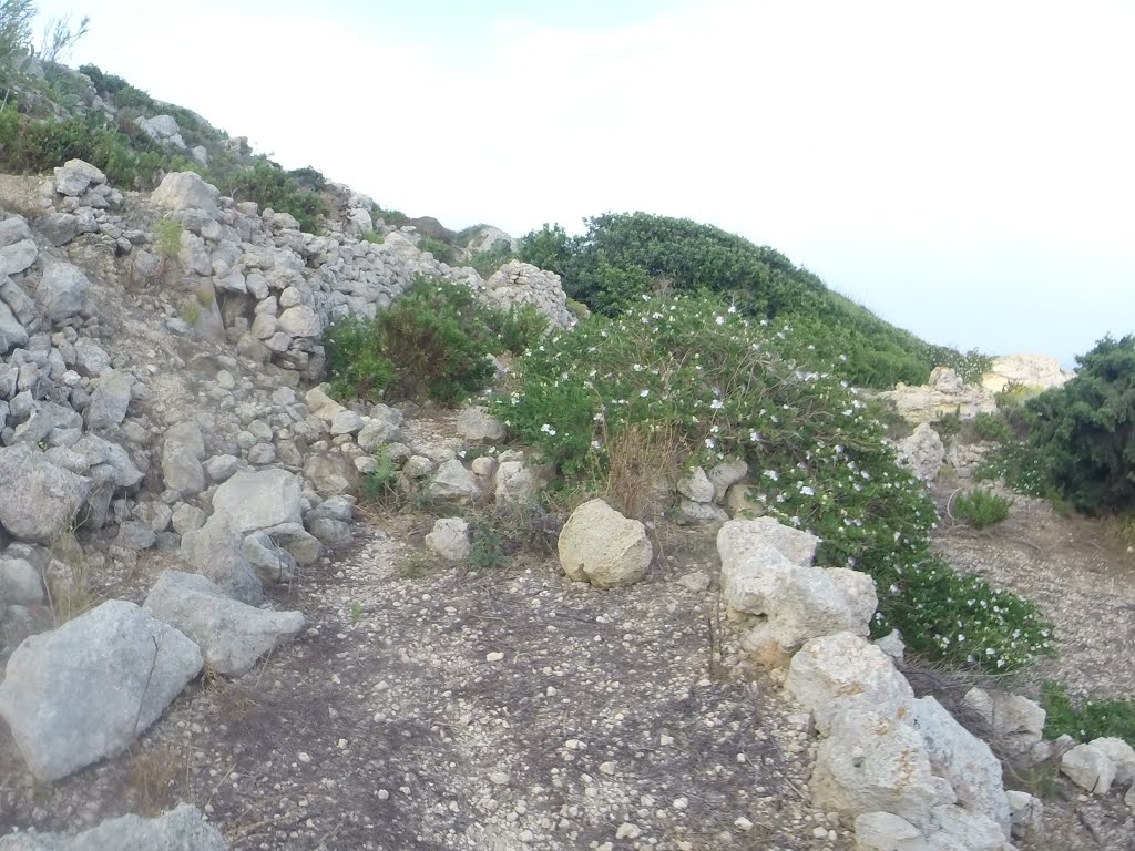 Mellieha, Malta by Alan C. Bonnici