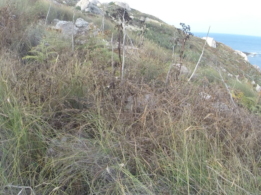 Mellieha, Malta by Alan C. Bonnici