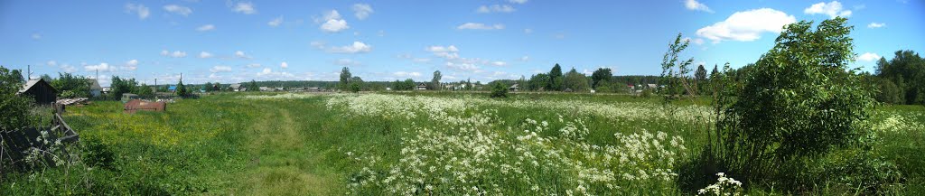 Vavozhsky District, Udmurt Republic, Russia by DISCO COMMANDER