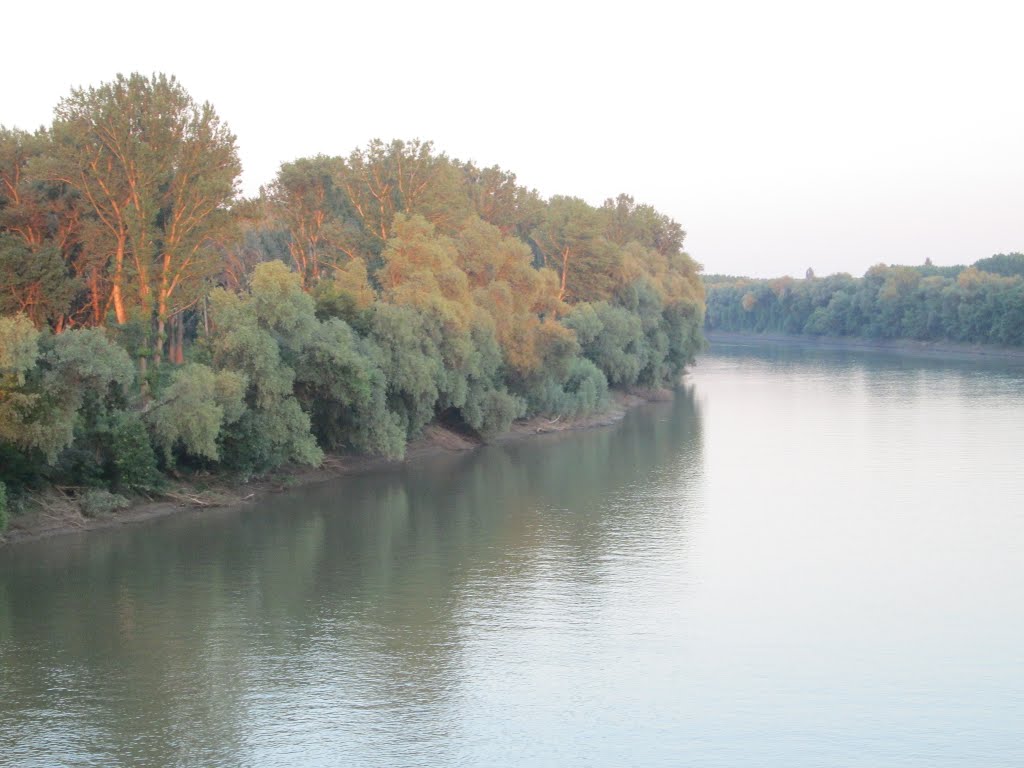 River Tisza by szaza