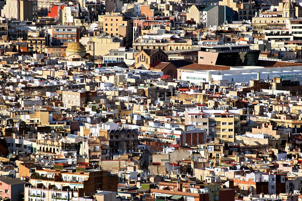 Barcelona from Montjuic by Yuri Rapoport