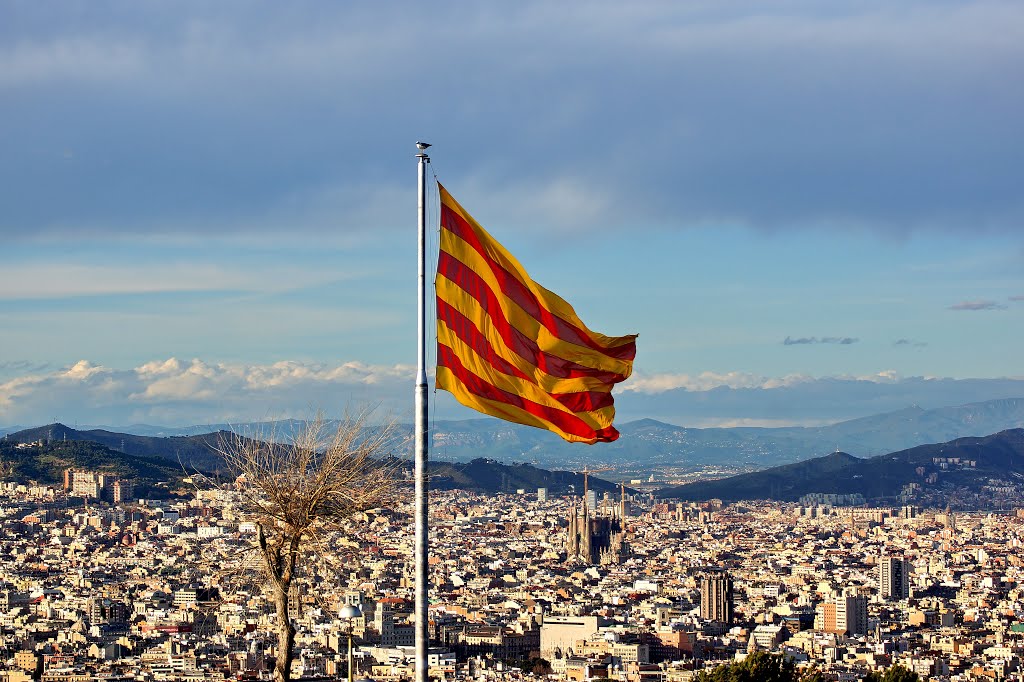 Barcelona from Montjuic by Yuri Rapoport