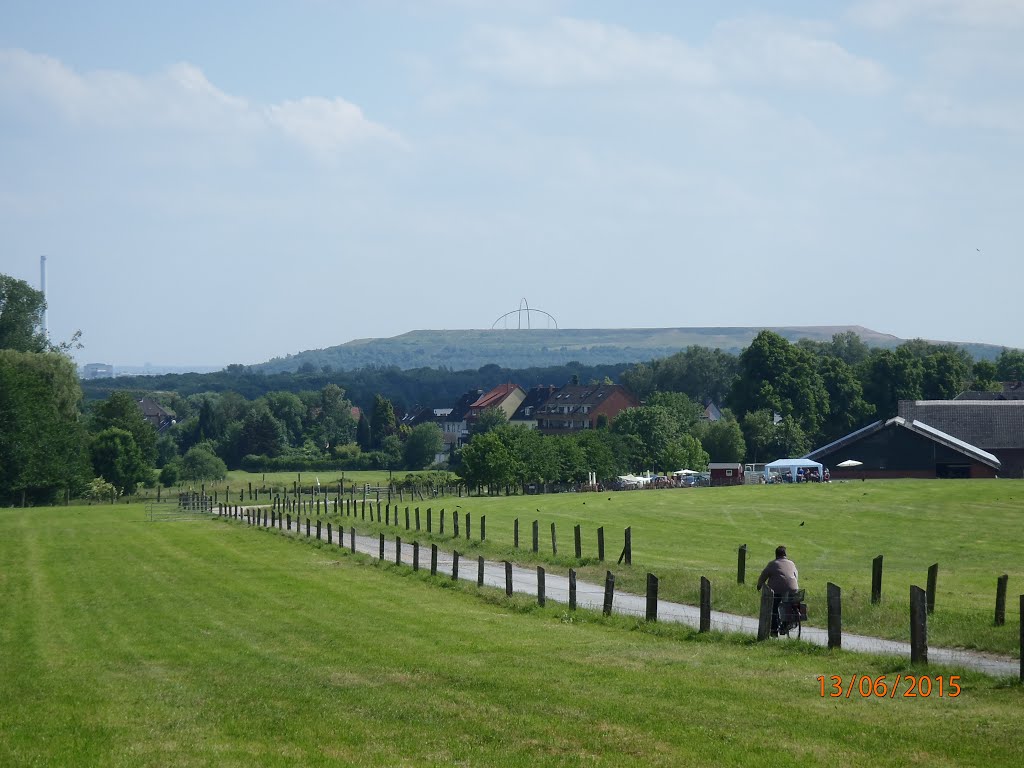 Herten, Germany by Martin.Janotta