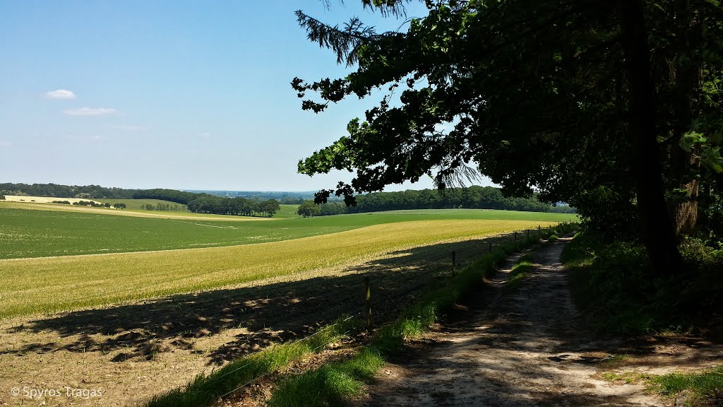 Between Berg en Dal and Groesbeek, Gelderland by Spyros Tragas